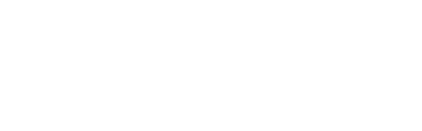 QV20_ngang_goldonly-600x186