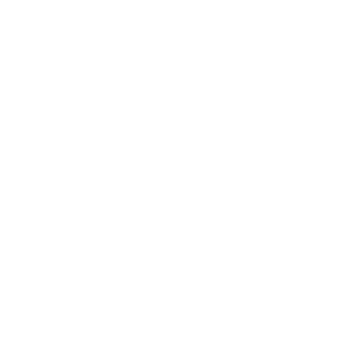 ping-logo-png-transparent